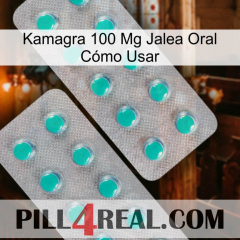 Kamagra 100 Mg Jalea Oral Cómo Usar 29